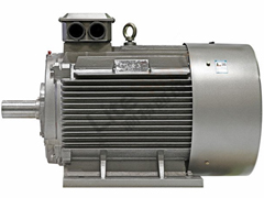 YE5系列超高效三相異步電動機——西安泰富西瑪電機(西安西瑪電機集團股份有限公司)